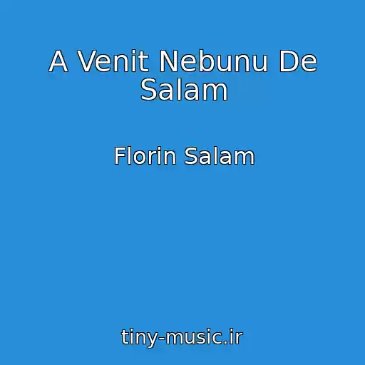 کاور آهنگ A Venit Nebunu De Salam از Florin Salam
