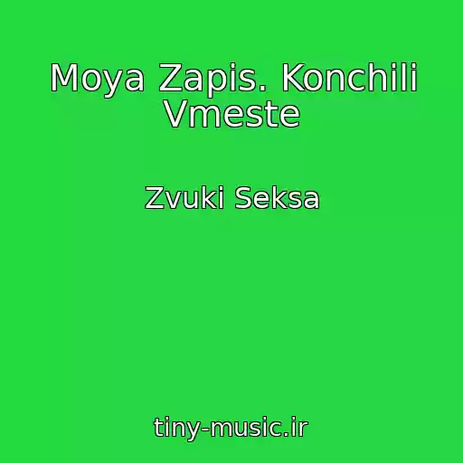 کاور آهنگ Moya Zapis. Konchili Vmeste از Zvuki Seksa