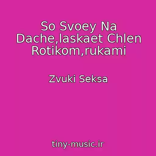 کاور آهنگ So Svoey Na Dache,laskaet Chlen Rotikom,rukami از Zvuki Seksa