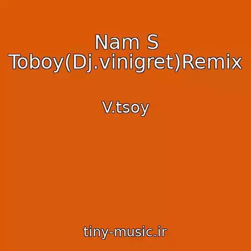 کاور آهنگ Nam S Toboy(Dj.vinigret)Remix از V.tsoy