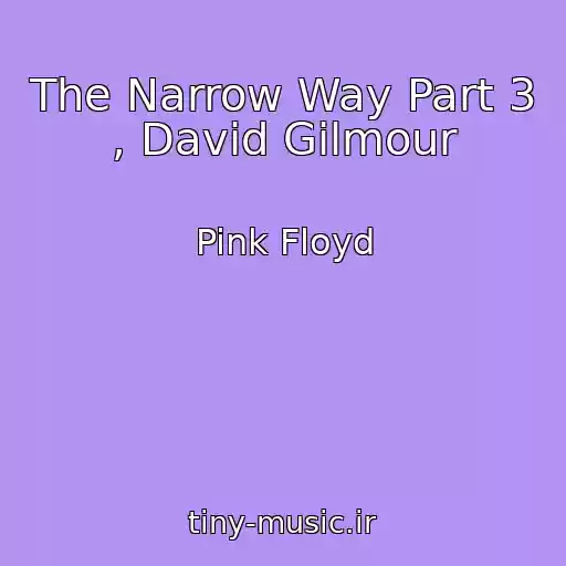 کاور آهنگ The Narrow Way Part 3 , David Gilmour از Pink Floyd