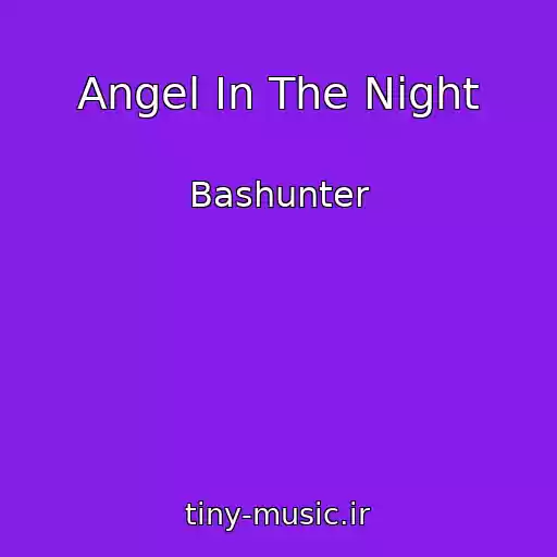 کاور آهنگ Angel In The Night از Bashunter