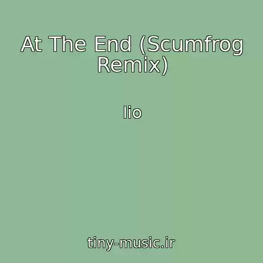 کاور آهنگ At The End (Scumfrog Remix) از Iio
