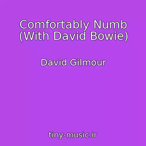 کاور آهنگ Comfortably Numb (With David Bowie) از David Gilmour