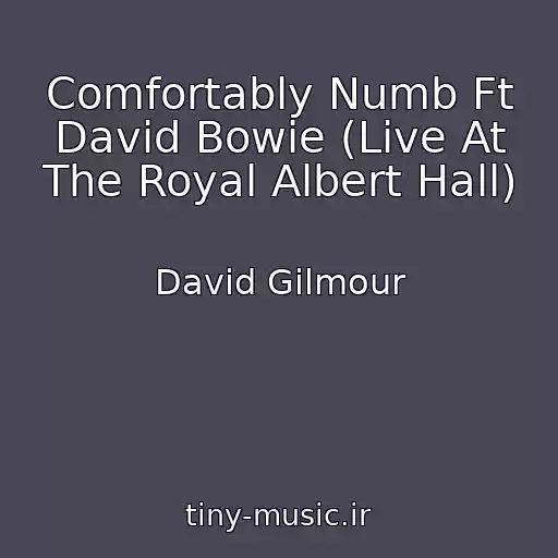 کاور آهنگ Comfortably Numb Ft David Bowie (Live At The Royal Albert Hall) از David Gilmour