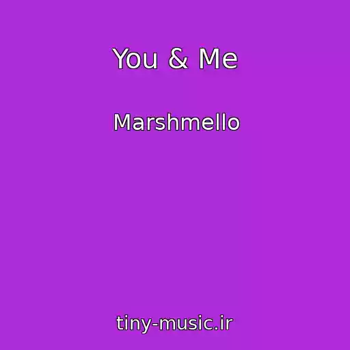 کاور آهنگ You & Me از Marshmello