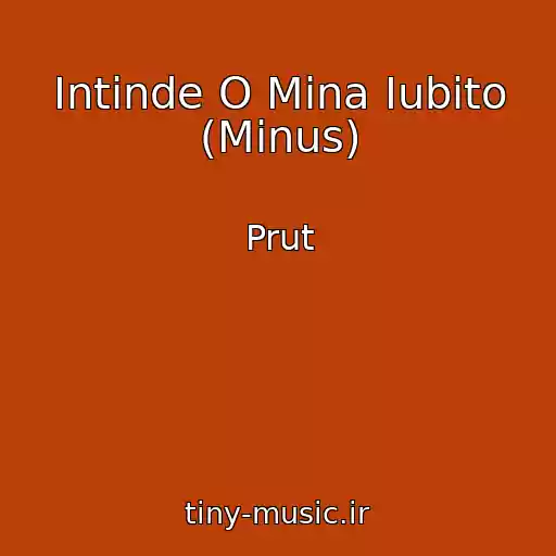 کاور آهنگ Intinde O Mina Iubito (Minus) از Prut
