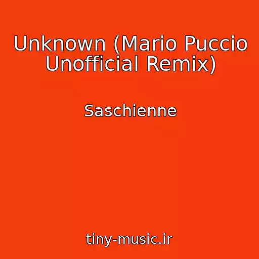 کاور آهنگ Unknown (Mario Puccio Unofficial Remix) از Saschienne