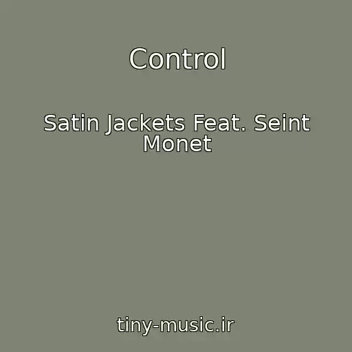 کاور آهنگ Control از Satin Jackets Feat. Seint Monet