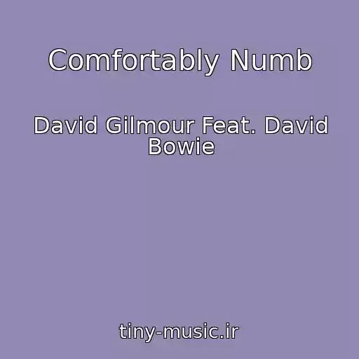 کاور آهنگ Comfortably Numb از David Gilmour Feat. David Bowie