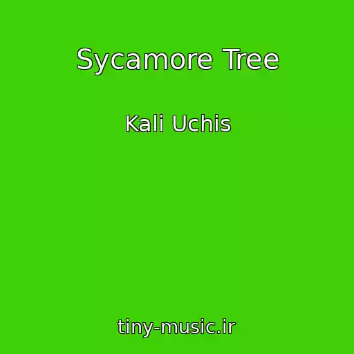کاور آهنگ Sycamore Tree از Kali Uchis