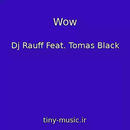 کاور آهنگ Wow از Dj Rauff Feat. Tomas Black