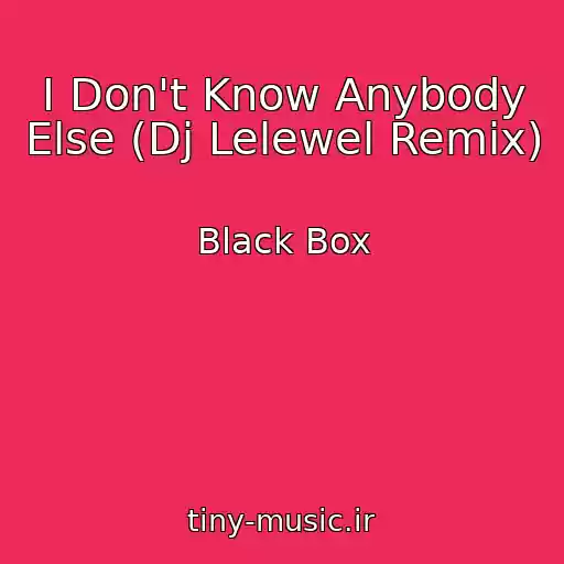 کاور آهنگ I Don't Know Anybody Else (Dj Lelewel Remix) از Black Box