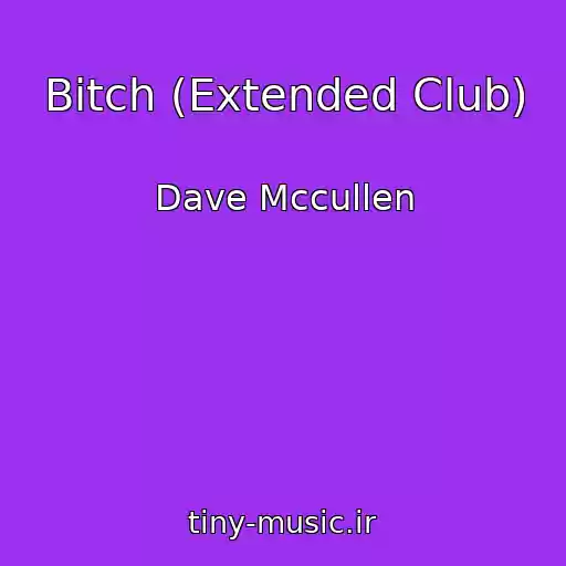 کاور آهنگ Bitch (Extended Club) از Dave Mccullen