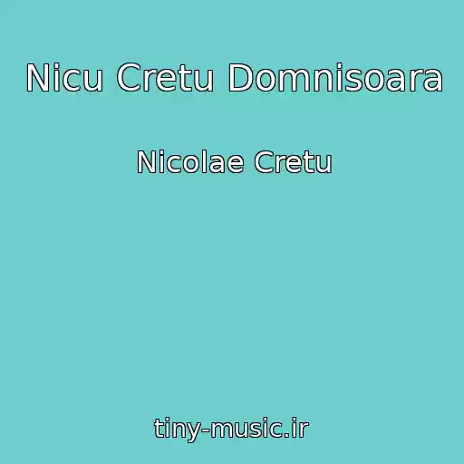 کاور آهنگ Nicu Cretu Domnisoara از Nicolae Cretu