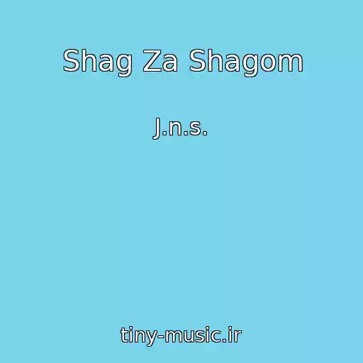 کاور آهنگ Shag Za Shagom از J.n.s.