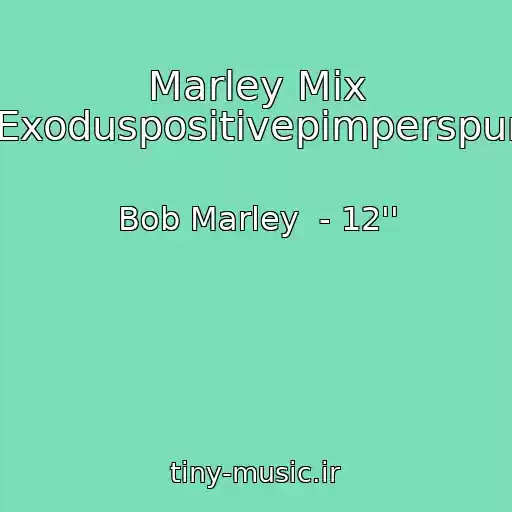 کاور آهنگ Marley Mix Up(Exoduspositivepimperspunky) از Bob Marley  - 12''