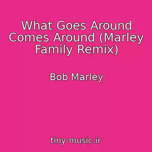 کاور آهنگ What Goes Around Comes Around (Marley Family Remix) از Bob Marley
