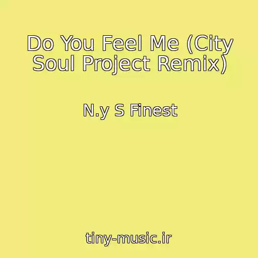 کاور آهنگ Do You Feel Me (City Soul Project Remix) از N.y S Finest