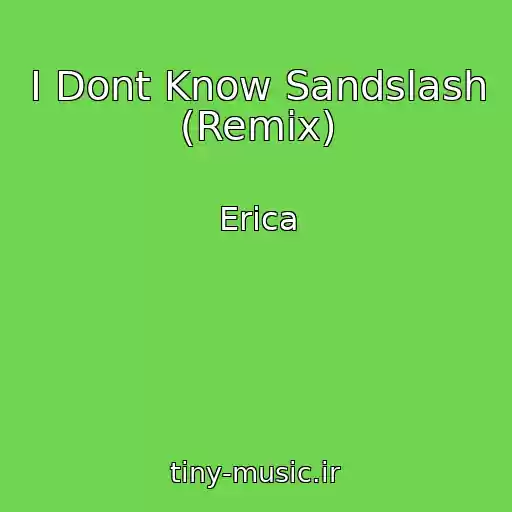کاور آهنگ I Dont Know Sandslash (Remix) از Erica