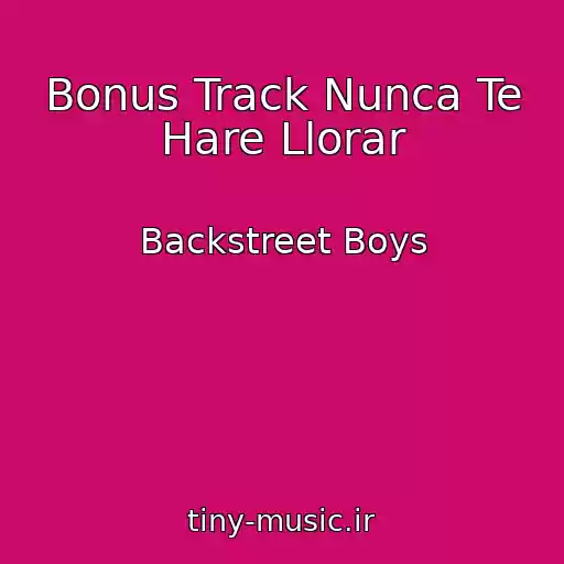کاور آهنگ Bonus Track Nunca Te Hare Llorar از Backstreet Boys