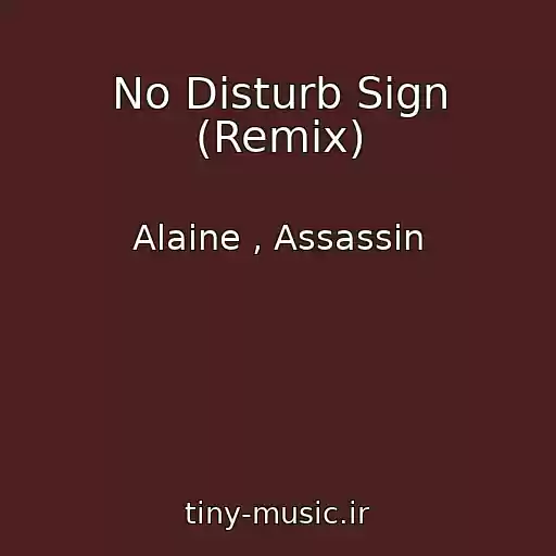 کاور آهنگ No Disturb Sign (Remix) از Alaine , Assassin