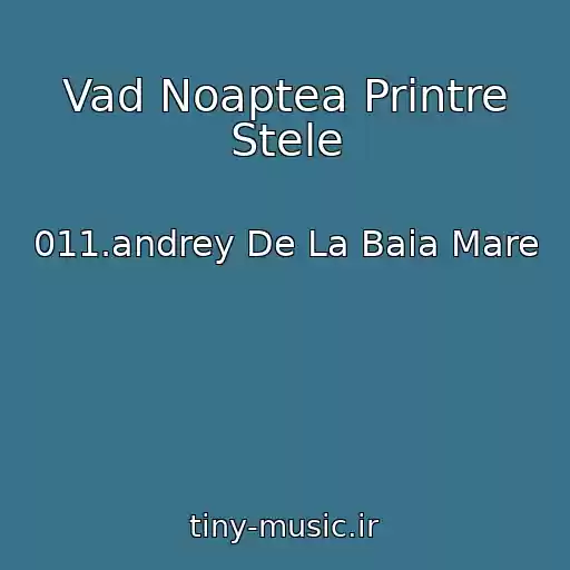کاور آهنگ Vad Noaptea Printre Stele از 011.andrey De La Baia Mare