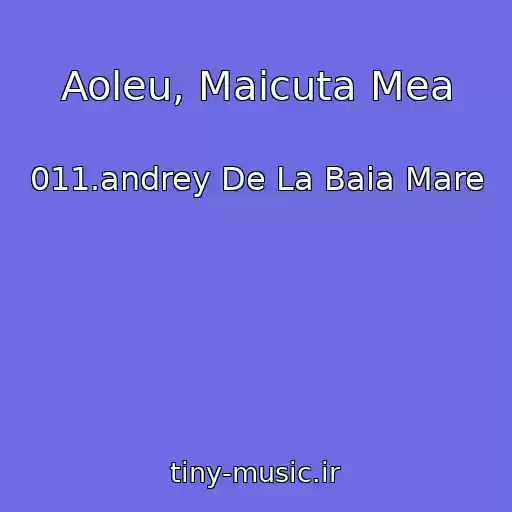 کاور آهنگ Aoleu, Maicuta Mea از 011.andrey De La Baia Mare