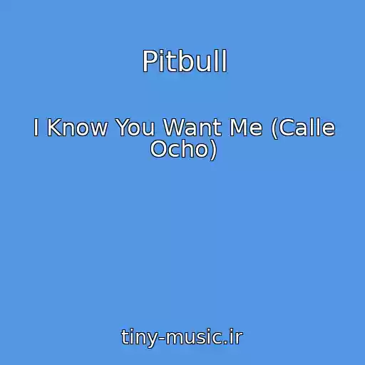 کاور آهنگ Pitbull از I Know You Want Me (Calle Ocho)
