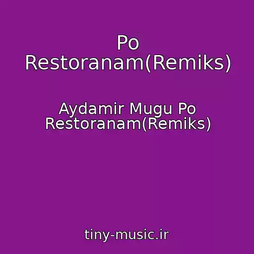 کاور آهنگ Po Restoranam(Remiks) از Aydamir Mugu Po Restoranam(Remiks)