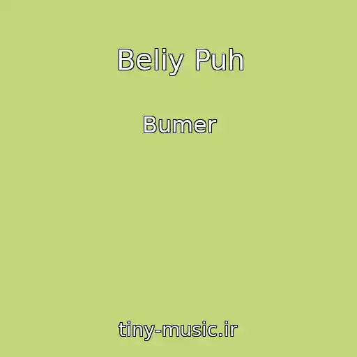 کاور آهنگ Beliy Puh از Bumer