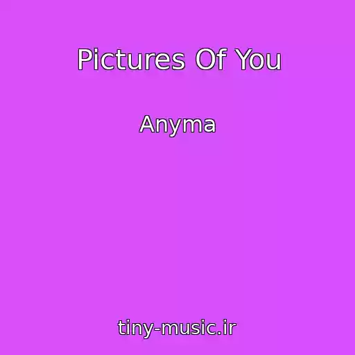 کاور آهنگ Pictures Of You از Anyma