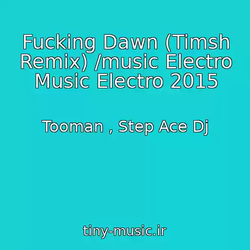 کاور آهنگ Fucking Dawn (Timsh Remix) /music Electro Music Electro 2015 از Tooman , Step Ace Dj