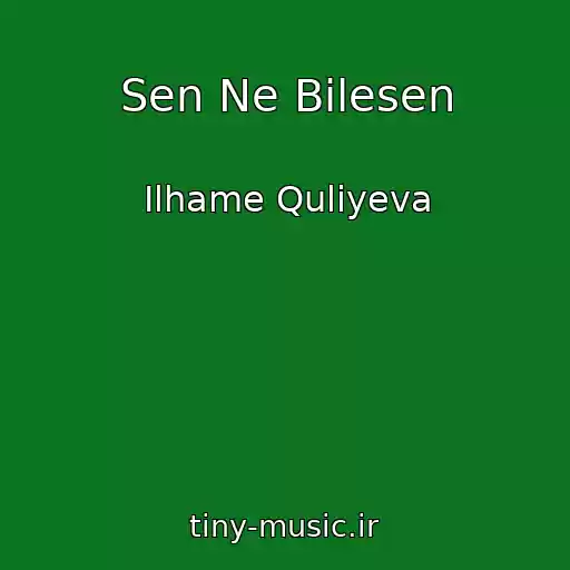کاور آهنگ Sen Ne Bilesen از Ilhame Quliyeva