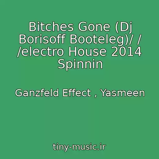 کاور آهنگ Bitches Gone (Dj Borisoff Booteleg)/ / /electro House 2014 Spinnin از Ganzfeld Effect , Yasmeen