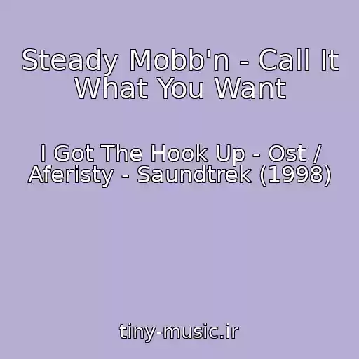 کاور آهنگ Steady Mobb'n - Call It What You Want از I Got The Hook Up - Ost / Aferisty - Saundtrek (1998)