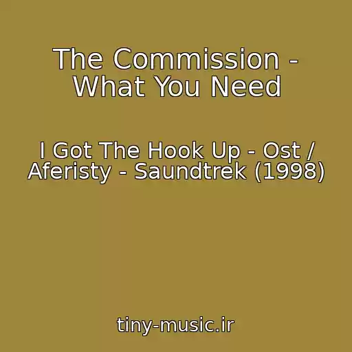 کاور آهنگ The Commission - What You Need از I Got The Hook Up - Ost / Aferisty - Saundtrek (1998)