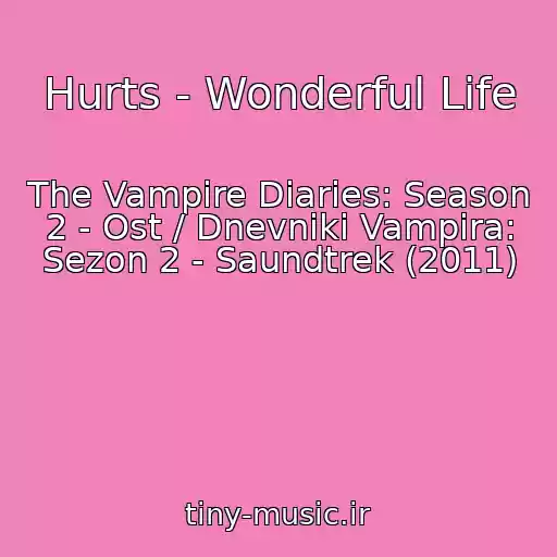کاور آهنگ Hurts - Wonderful Life از The Vampire Diaries: Season 2 - Ost / Dnevniki Vampira: Sezon 2 - Saundtrek (2011)