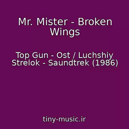 کاور آهنگ Mr. Mister - Broken Wings از Top Gun - Ost / Luchshiy Strelok - Saundtrek (1986)