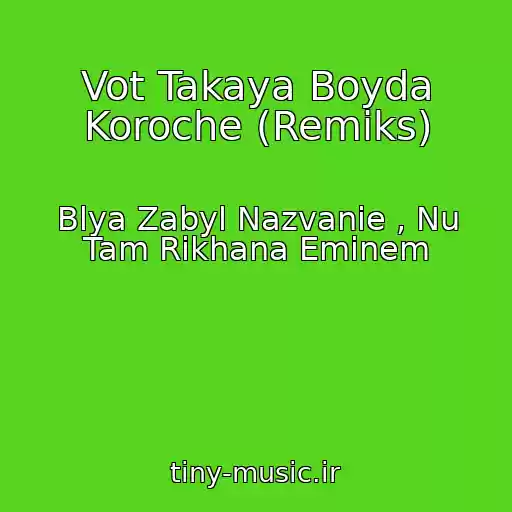 کاور آهنگ Vot Takaya Boyda Koroche (Remiks) از Blya Zabyl Nazvanie , Nu Tam Rikhana Eminem