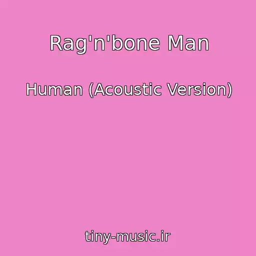 کاور آهنگ Rag'n'bone Man از Human (Acoustic Version)