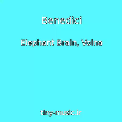 کاور آهنگ Benedici از Elephant Brain, Voina