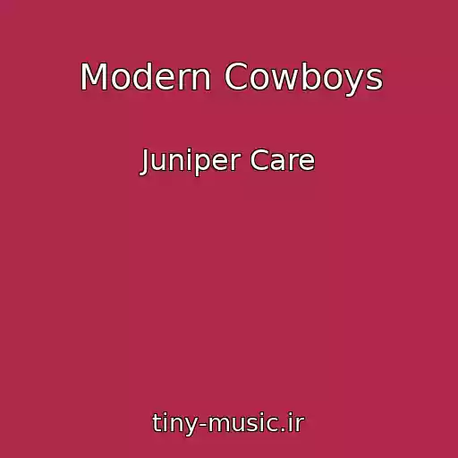 کاور آهنگ Modern Cowboys از Juniper Care