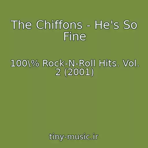 کاور آهنگ The Chiffons - He's So Fine از 100\% Rock-N-Roll Hits. Vol. 2 (2001)