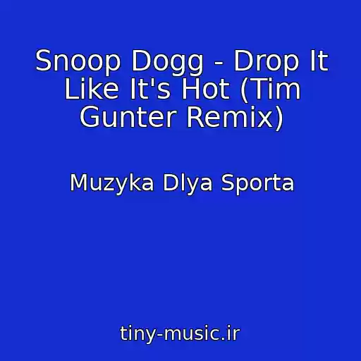 کاور آهنگ Snoop Dogg - Drop It Like It's Hot (Tim Gunter Remix) از Muzyka Dlya Sporta