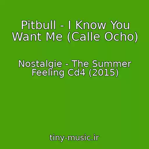 کاور آهنگ Pitbull - I Know You Want Me (Calle Ocho) از Nostalgie - The Summer Feeling Cd4 (2015)