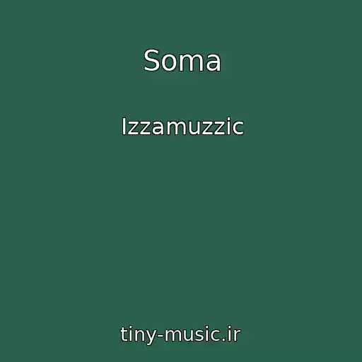 کاور آهنگ Soma از Izzamuzzic