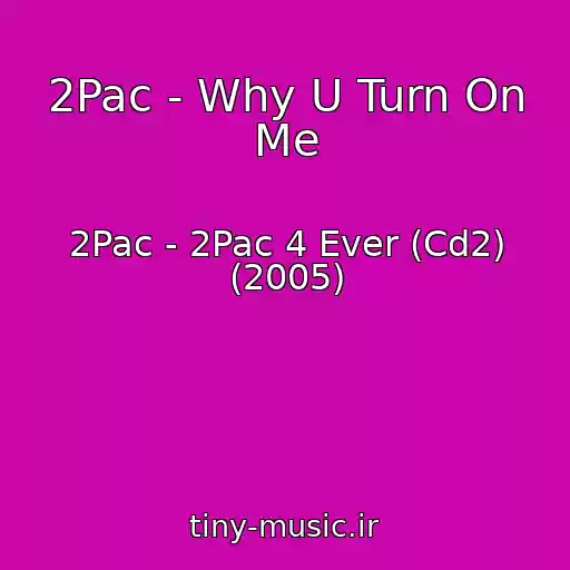 کاور آهنگ 2Pac - Why U Turn On Me از 2Pac - 2Pac 4 Ever (Cd2) (2005)