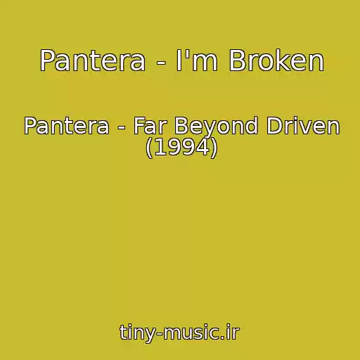 کاور آهنگ Pantera - I'm Broken از Pantera - Far Beyond Driven (1994)