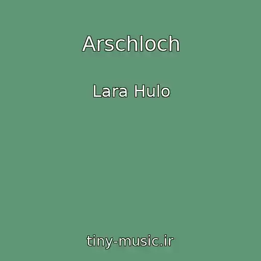 کاور آهنگ Arschloch از Lara Hulo